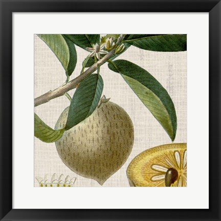 Framed Cropped Turpin Tropicals V Print