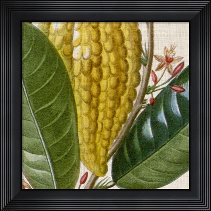 Framed Cropped Turpin Tropicals VI Print