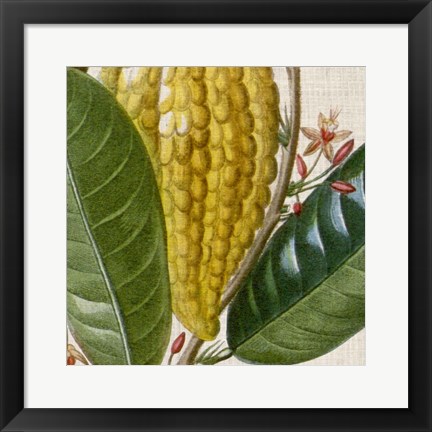 Framed Cropped Turpin Tropicals VI Print