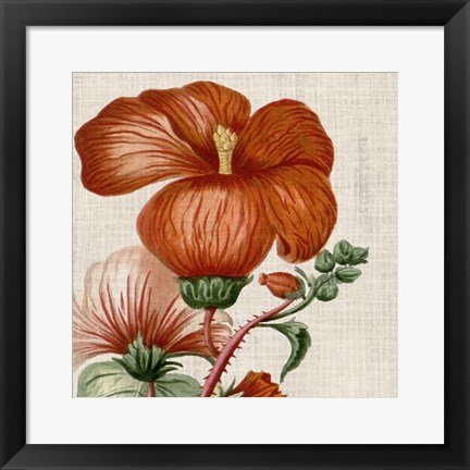 Framed Cropped Turpin Tropicals VIII Print