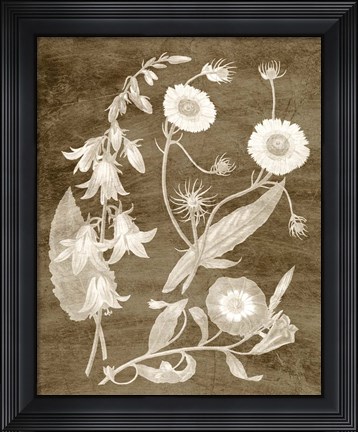 Framed Botanical in Taupe III Print