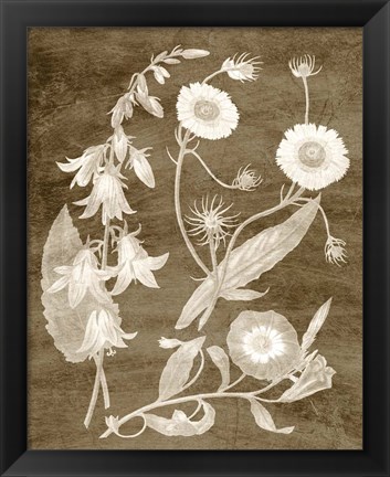 Framed Botanical in Taupe III Print