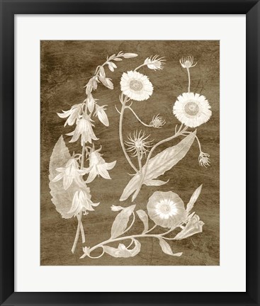 Framed Botanical in Taupe III Print