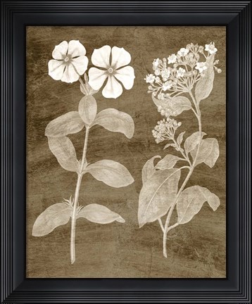 Framed Botanical in Taupe IV Print