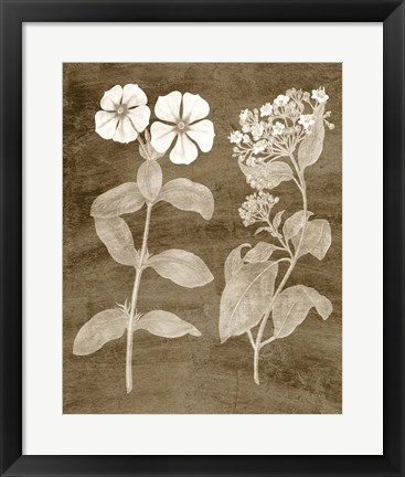 Framed Botanical in Taupe IV Print