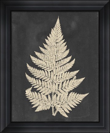 Framed Linen Fern I Print