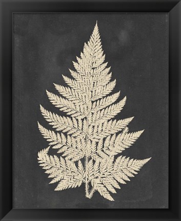 Framed Linen Fern I Print