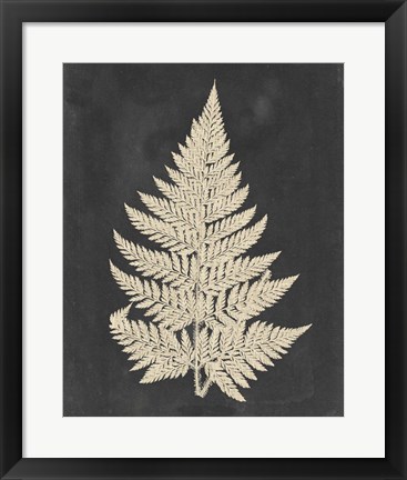 Framed Linen Fern I Print