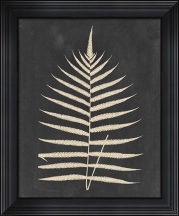 Framed Linen Fern III Print