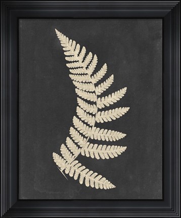Framed Linen Fern IV Print