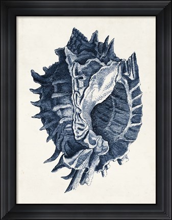 Framed Coastal Collection in Indigo I Print