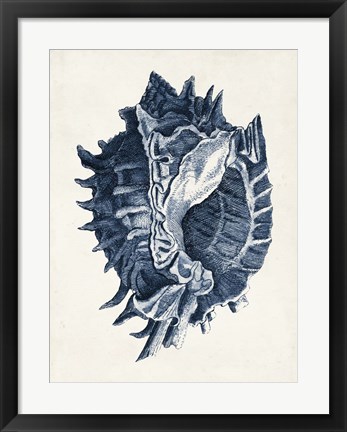 Framed Coastal Collection in Indigo I Print