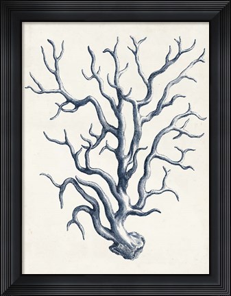 Framed Coastal Collection in Indigo IV Print