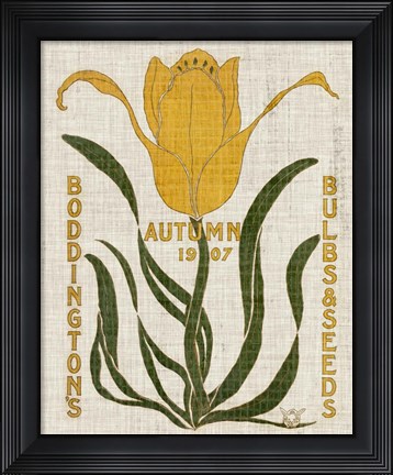 Framed Flower Seed Packs I Print