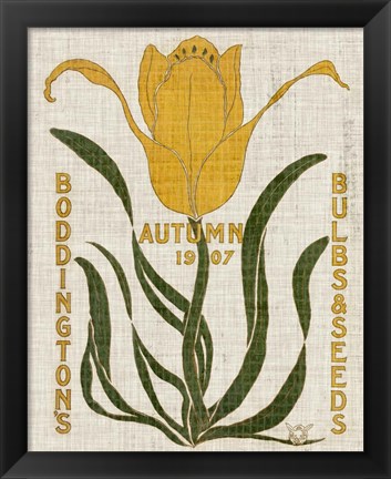 Framed Flower Seed Packs I Print