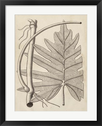 Framed Distinctive Leaves I Print