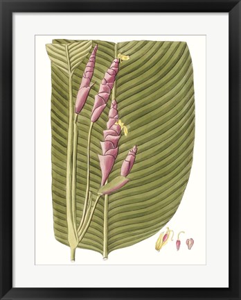 Framed Leaves of the Tropics I Print