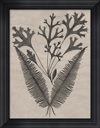 Framed Eloquent Leaves IV Print