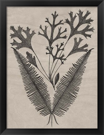 Framed Eloquent Leaves IV Print