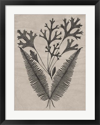 Framed Eloquent Leaves IV Print