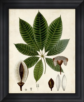 Framed Verdant Foliage VII Print