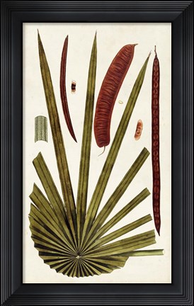 Framed Leaf Varieties VI Print