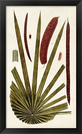 Framed Leaf Varieties VI Print