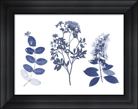 Framed Indigo Pressed Florals I Print