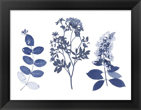 Framed Indigo Pressed Florals I Print