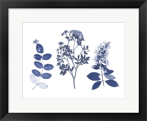 Framed Indigo Pressed Florals I Print