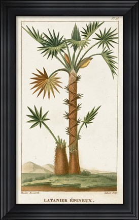 Framed Exotic Palms I Print
