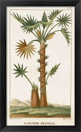 Framed Exotic Palms I Print