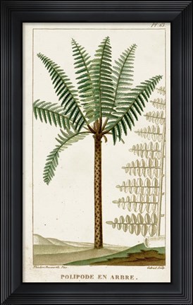 Framed Exotic Palms III Print