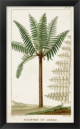 Framed Exotic Palms III Print