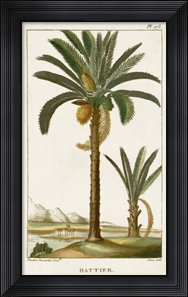 Framed Exotic Palms IV Print
