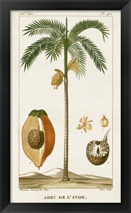 Framed Exotic Palms V Print
