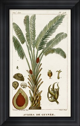 Framed Exotic Palms VI Print