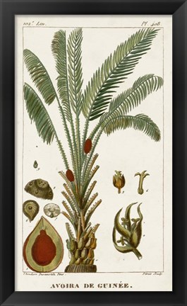 Framed Exotic Palms VI Print
