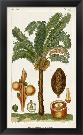 Framed Exotic Palms VII Print