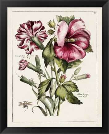 Framed Pink Hibiscus Print