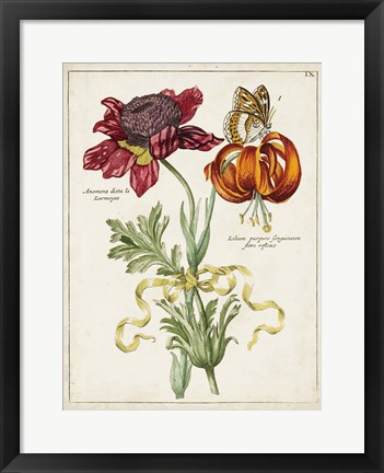 Framed Botanical Bouquet II Print