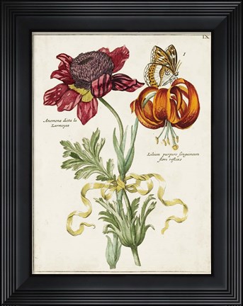 Framed Botanical Bouquet II Print