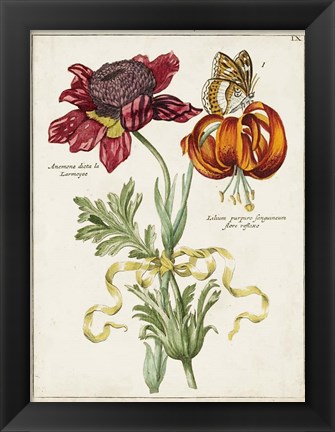 Framed Botanical Bouquet II Print