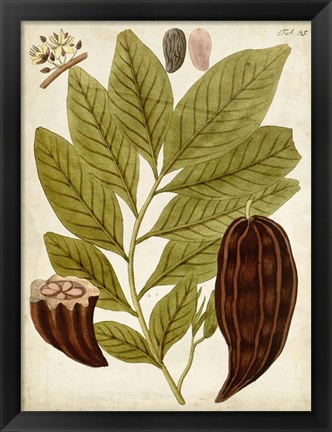 Framed Horticultural Specimen III Print