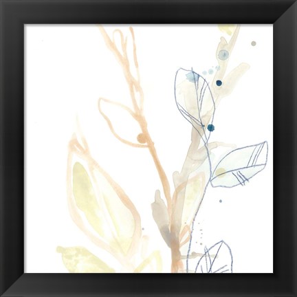 Framed Botany Gesture VIII Print