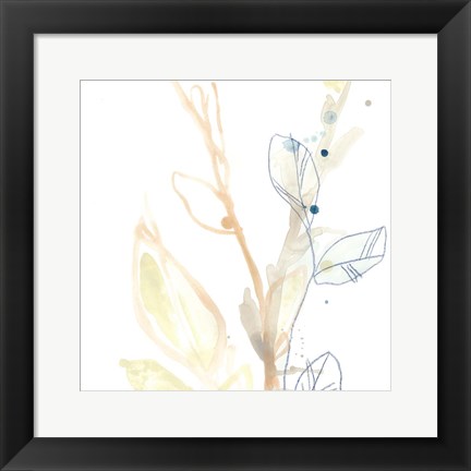 Framed Botany Gesture VIII Print