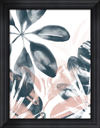 Framed Tropical Blush I Print