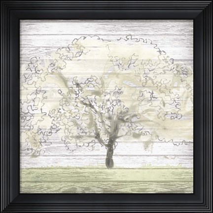 Framed Barn Tree II Print