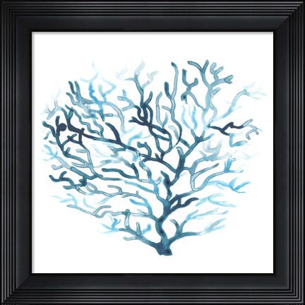 Framed Azure Seafan II Print