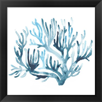 Framed Azure Seafan III Print